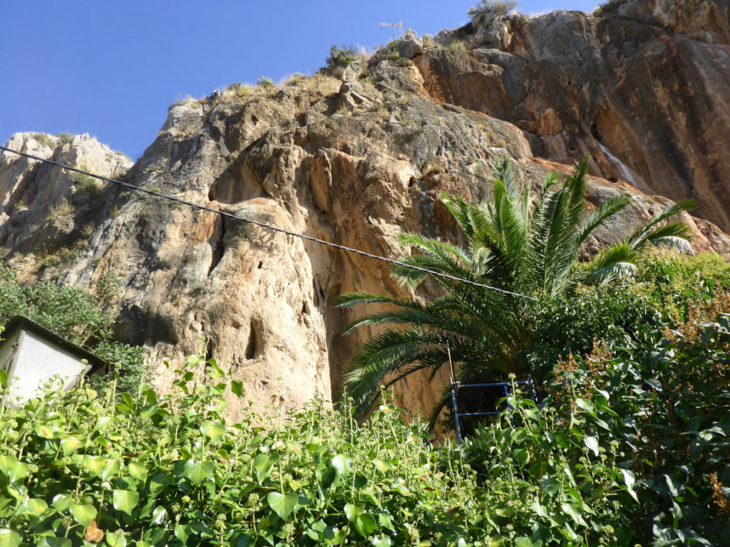 Solana de Granada - Climbing and outdoor hostel: garden with palm tree and rock view