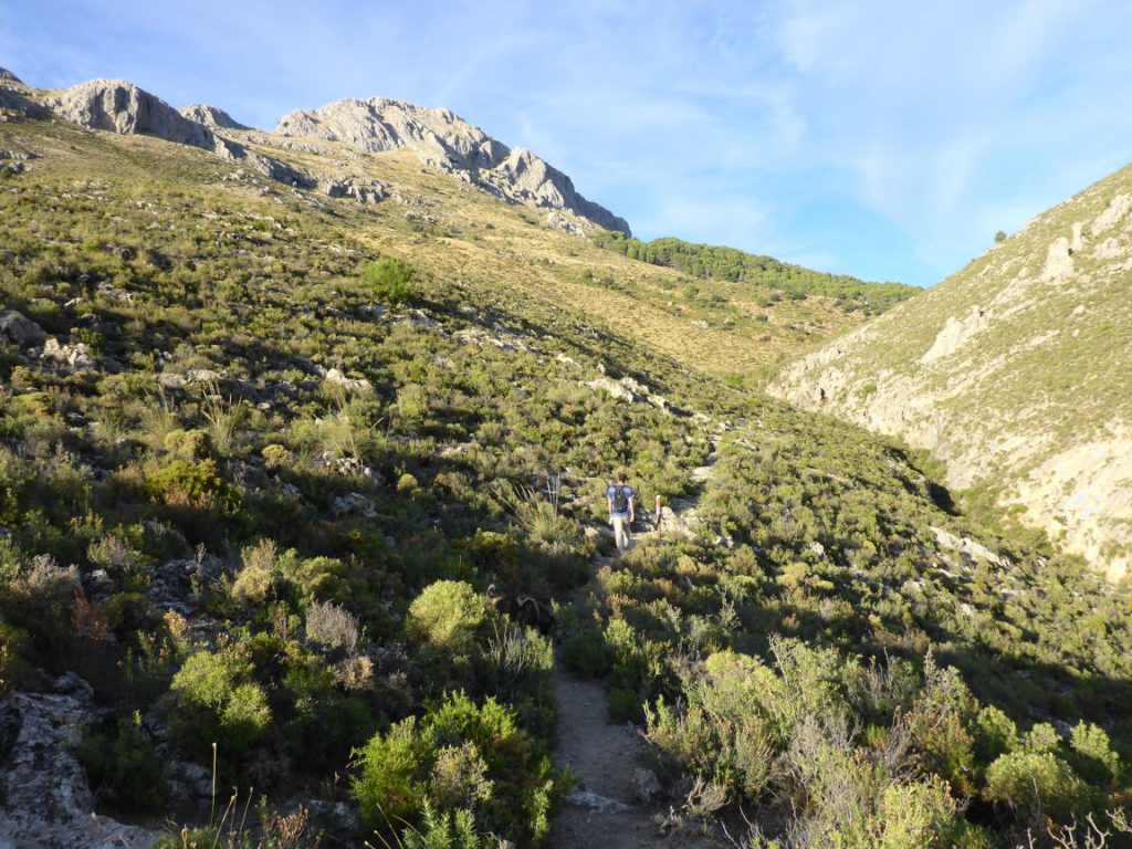 Hike to Peñon de la Mata