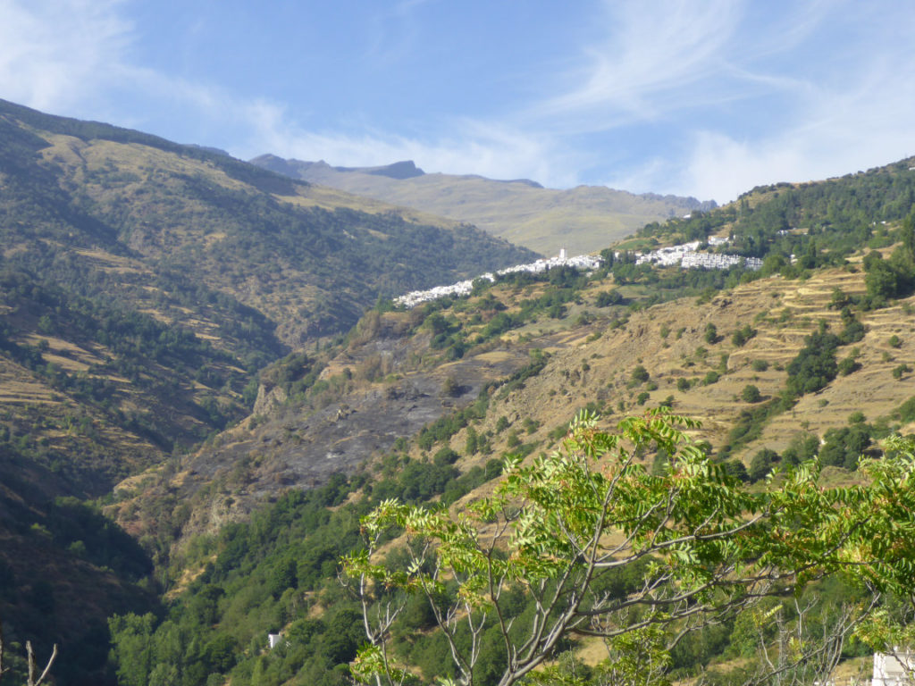 Climbing sector Granada - Capileira